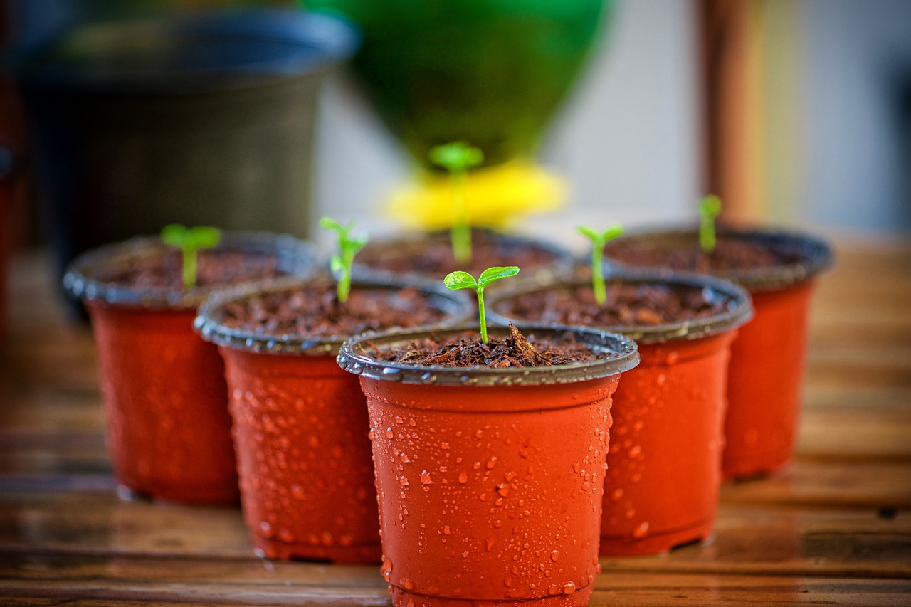 Chalk Painting Flower Pots: Fun DIY Project